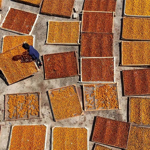 Luchtfoto van twee mannen die rekken met pruimen op het dak van een gebouw leggen om ze te laten drogen in de zon.