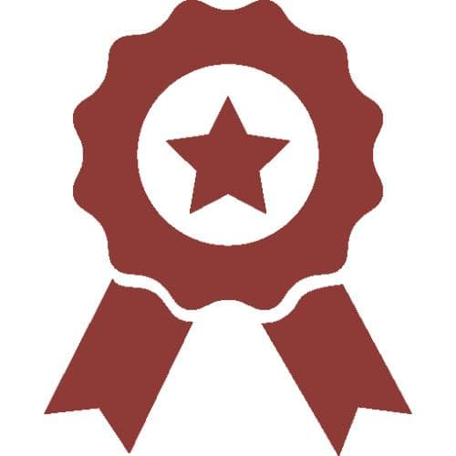 Benelux Enterprise Awards 2022 Winnaars badge