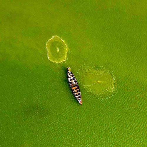 Luchtfoto van een visser in een groene rivier