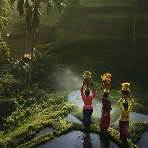 Rarindra-Prakarsa-Bali 500x500 Drie Balinese vrouwen in het regenwoud