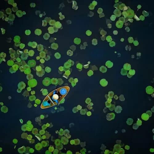 Vu-Manh-Cuong-summer-on-the-lotus-pond-500x500 Luchtfoto van een klein bootje tussen de lotusbladeren
