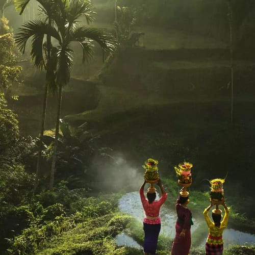 Fotokunst met drie vrouwen in het regenwoud in Bali
