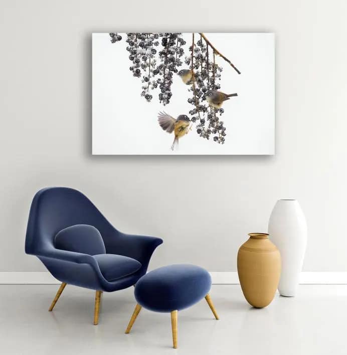 Foto aan de muur met afbeelding A-snowy-day-van fotograaf Fan-Hui-Ling-Taiwan Fotokunst met afbeelding van vogels in de sneeuw aan de muur in woonkamer met blauwe stoel en gele vaas